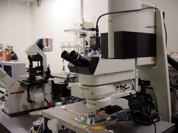 Two Photon Laser Confocal Microscope