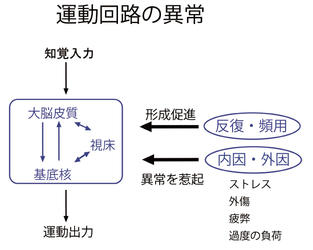ジストニアのすべて～診断・治療・病態解明の最前線～