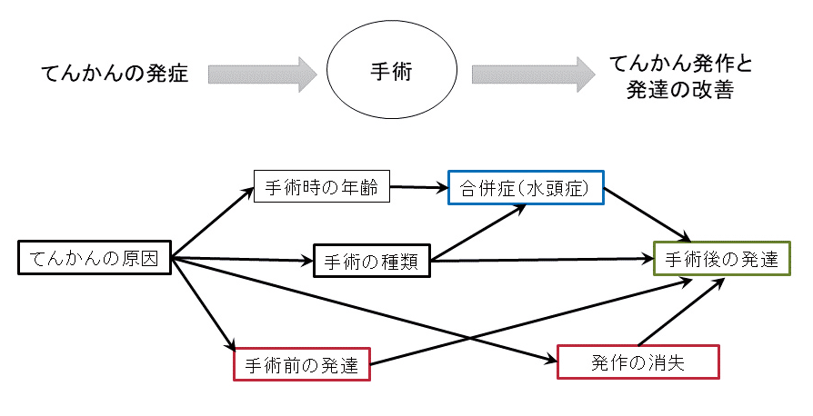 てんかんが子どもの発達に影響する因果関係の説明図