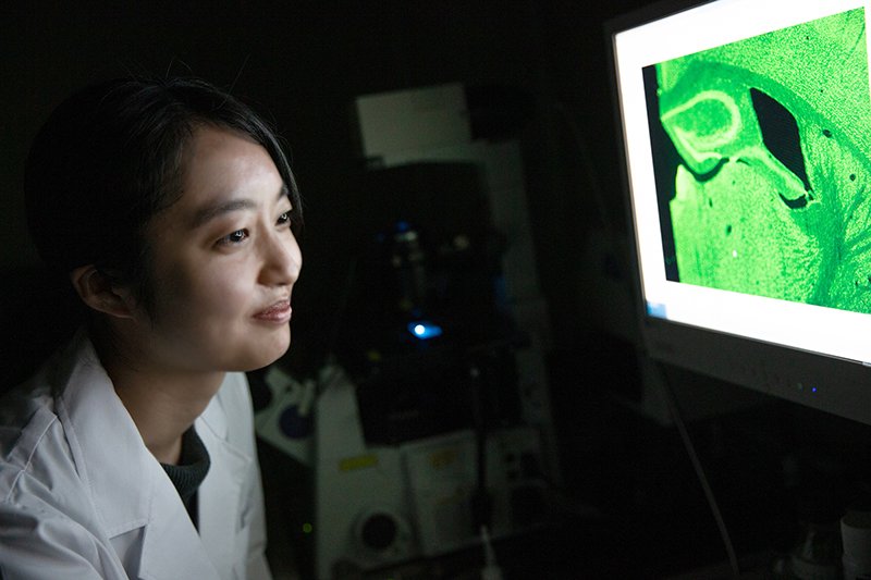 共焦点レーザー走査型顕微鏡による解析を行う女性の写真