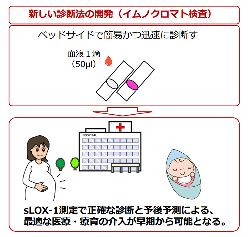 新しい診断法の開発の説明図