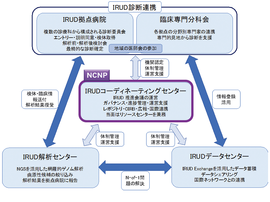 IRUD診断連携図