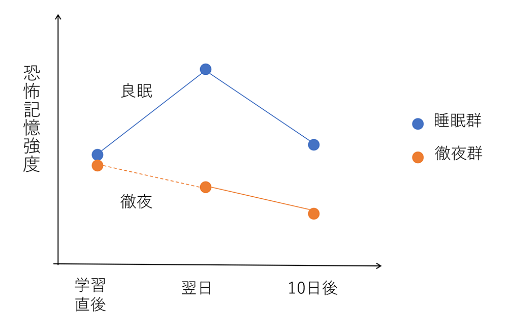 睡眠中の恐怖記憶の定着プロセスのグラフ