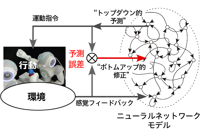 神経ロボティクスの図解