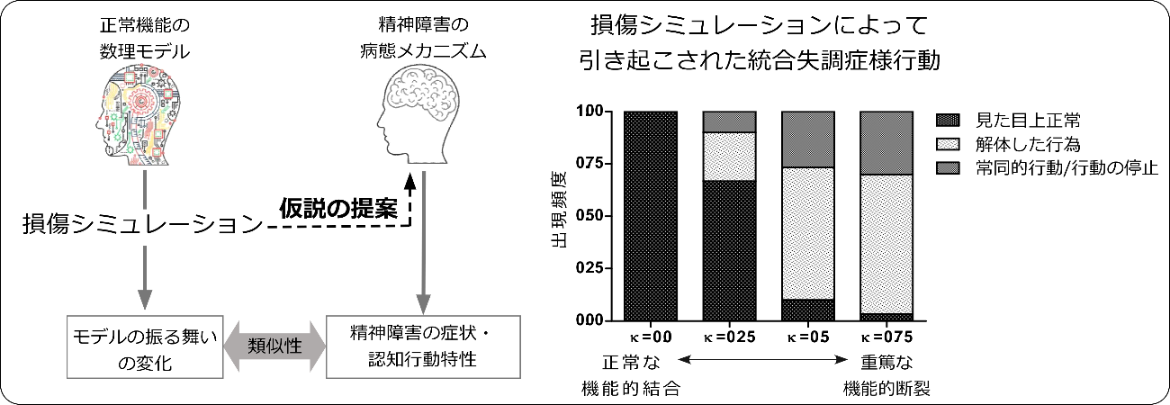 統合失調症や自閉スペクトラム症などの症状が生じるメカニズムの解明図