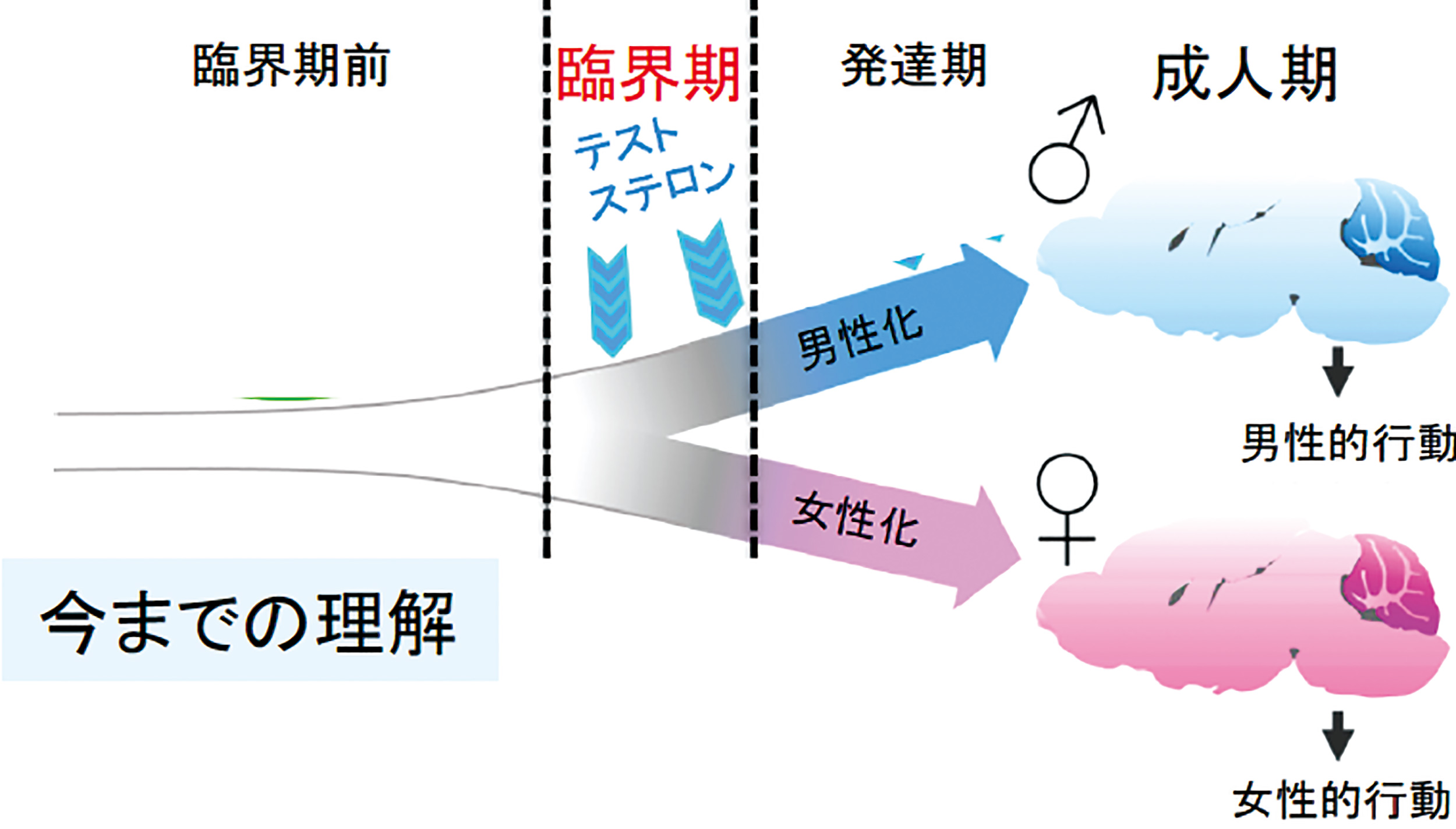 今までの理解解説図