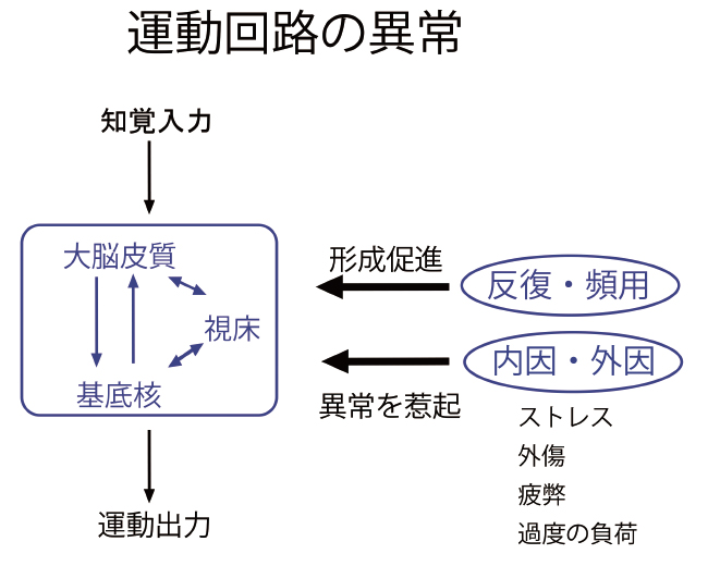 運動回路の異常