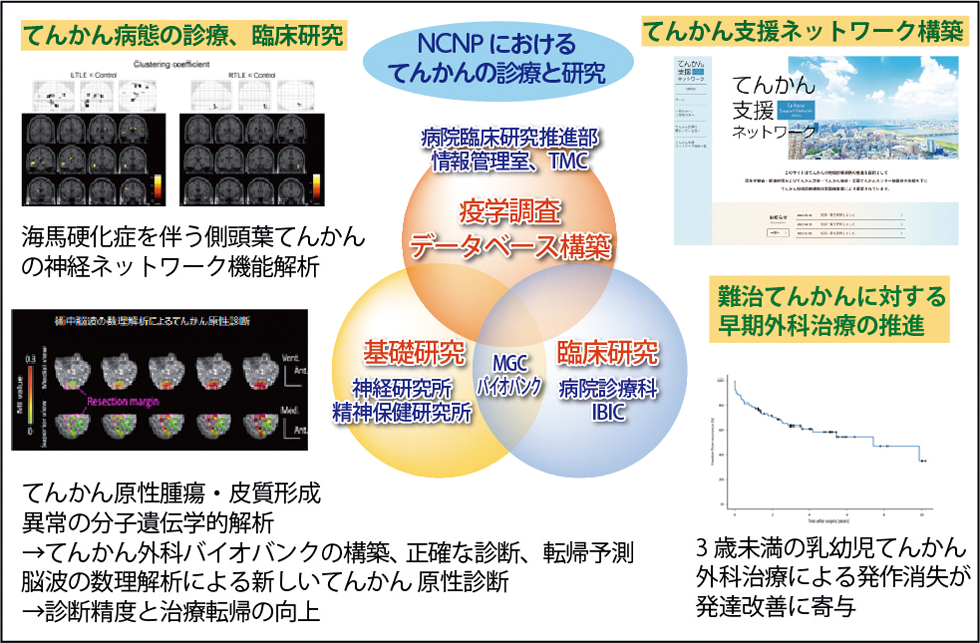 NCNPにおけるてんかんの診療と研究の図