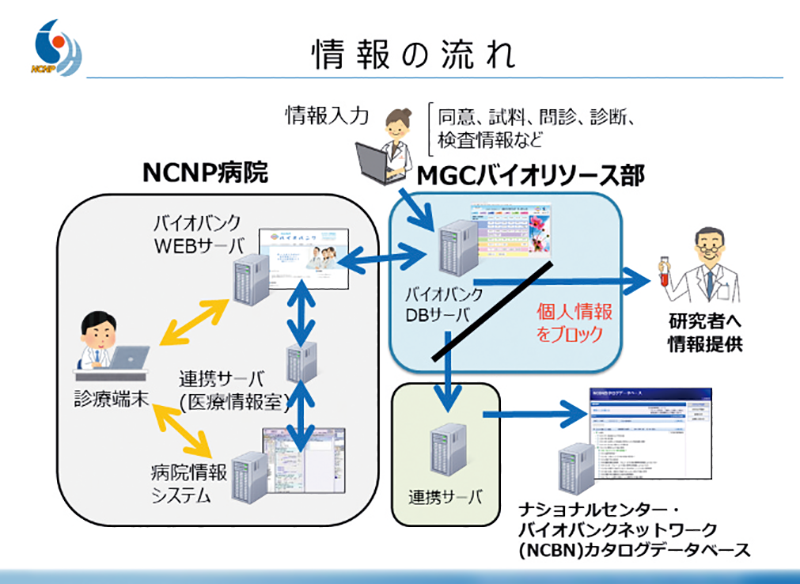 情報の流れの図