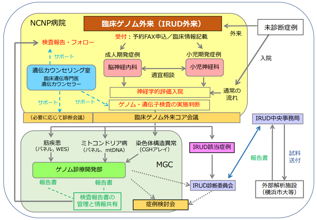 臨床ゲノム外来（IRUD外来）とゲノム・遺伝子検査体制の図