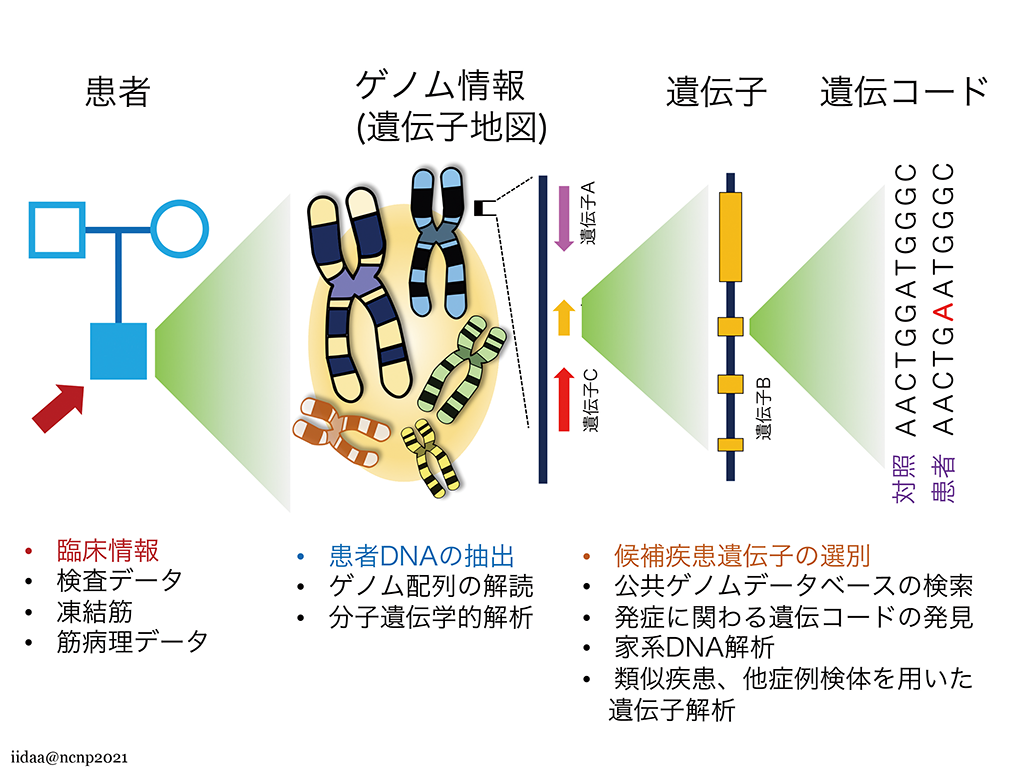 図版１