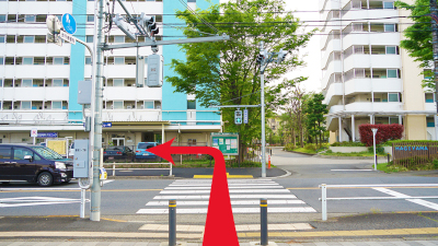 写真：歩道橋の光景