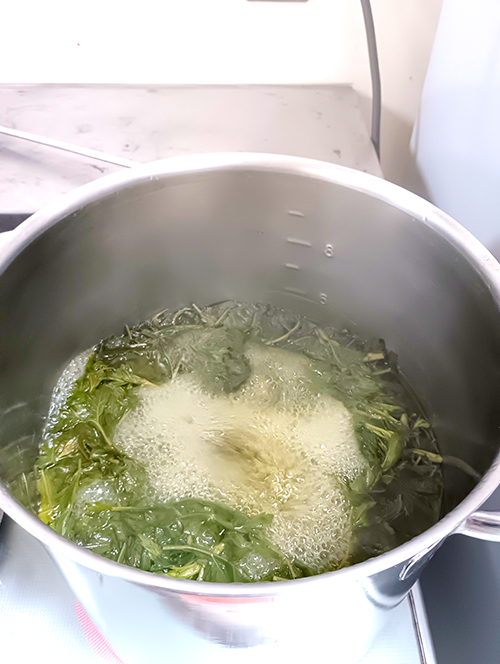 鍋で草を煮る様子の写真