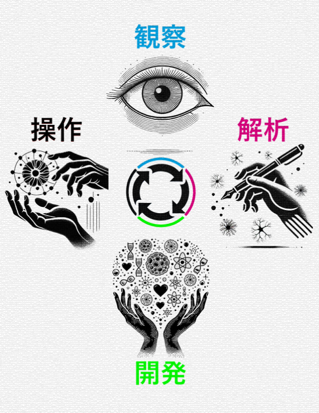研究内容