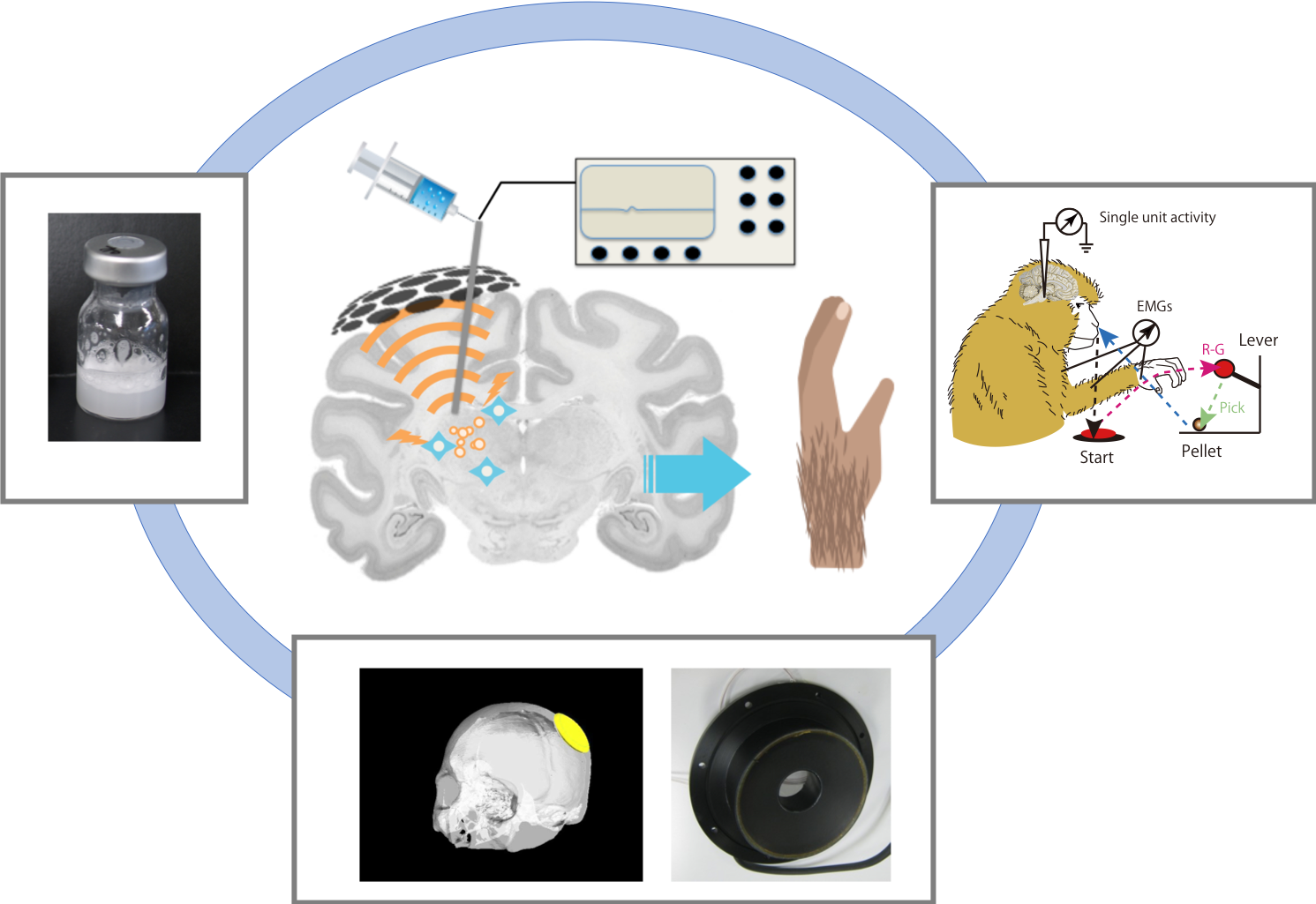 research projects in neurophysiology