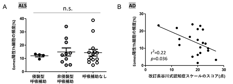 図3 A: ALS患者における、呼吸状態別のエオメス陽性ヘルパーT細胞の頻度のグラフ、B: AD患者における、認知症スケールとエオメス陽性ヘルパーT細胞頻度の相関関係のグラフ
