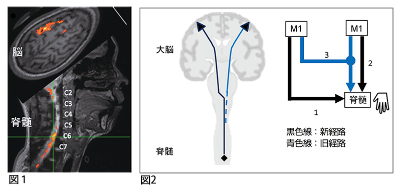 図1と図2