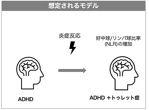想定されるモデルの図