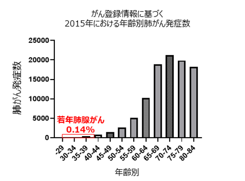 図1.がん登録情報に基づく2015年における年齢別肺がん発症数