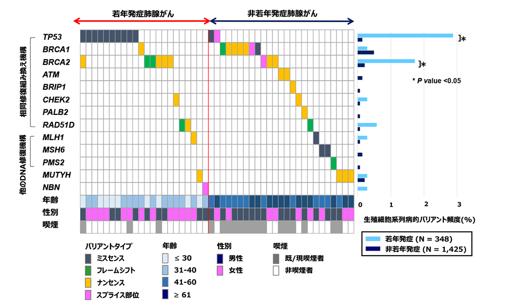図2.肺腺がん患者で検出された生殖細胞系列病的バリアント