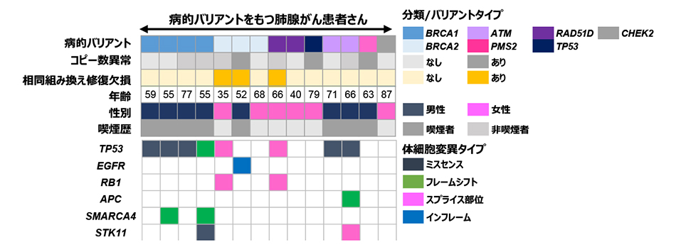 図3. 生殖細胞系列病的バリアントを有する症例の腫瘍でみられる体細胞遺伝子変化