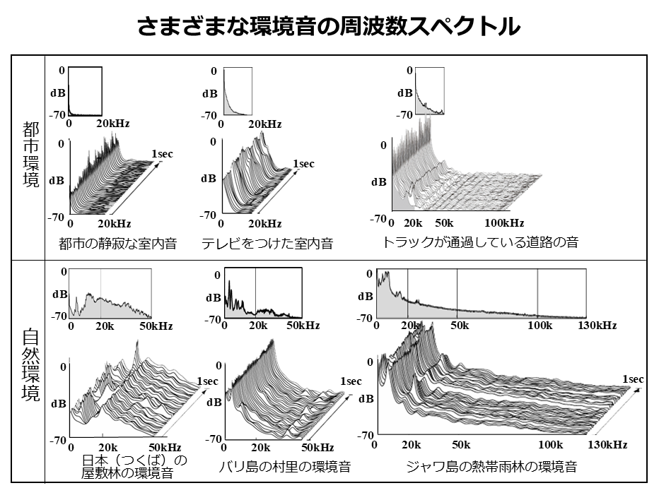 様々な環境音の周波数スペクトル