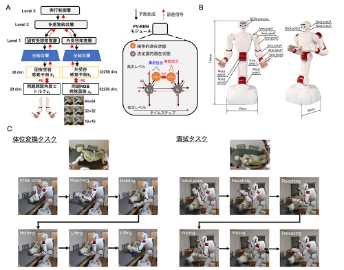 脳の「予測する仕組み」でロボットが複数の介護動作を学習 ―脳科学理論から次世代Physical AIへの道を拓く―