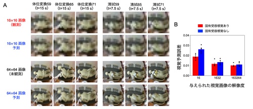 【図２】不鮮明な視覚に対する頑健性