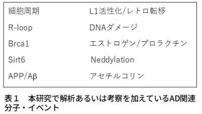 表1 本研究で解析あるいは考察を加えているAD関連分子・イベント