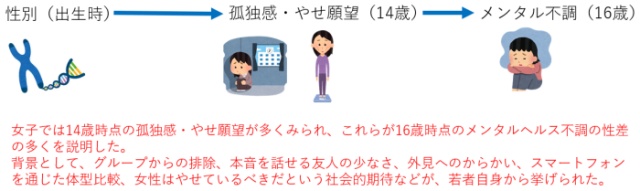 図1. 思春期女子のメンタル不調における孤独感・やせ願望の役割