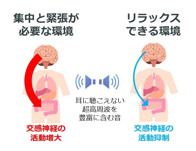 【研究概要図（イメージ）