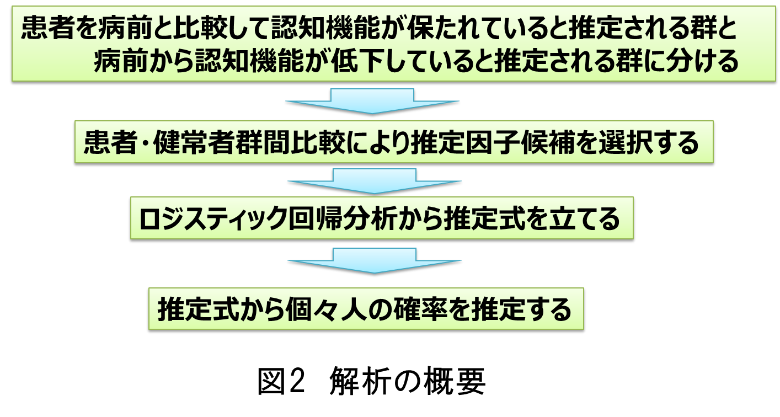 図2解析の概要