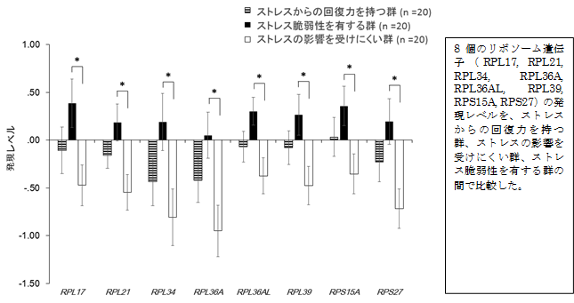 リボソーム遺伝子がうつ病に関わることを発見 ～うつ病の早期発見や診断に役立つマーカーである可能性 ～