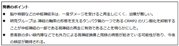 発表のポイント　・脳や脊髄などの中枢神経系は、一度ダメージを受けると再生しにくく、治療が難しい。・研究グループは、神経の軸索の携帯を支えるタンパク質の一つであるXRMP2のリン酸化を抑制することが中枢神経の一部である視神経の再生に有効であることがを明らかにした。・患者数の多い緑内障などでも外力による視神経損傷と同様の病態が起きている可能性があり、今後の検証が期待される