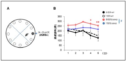 図３　アルツハイマーモデルマウスの認知機能異常に対するチロソールの効果解説図