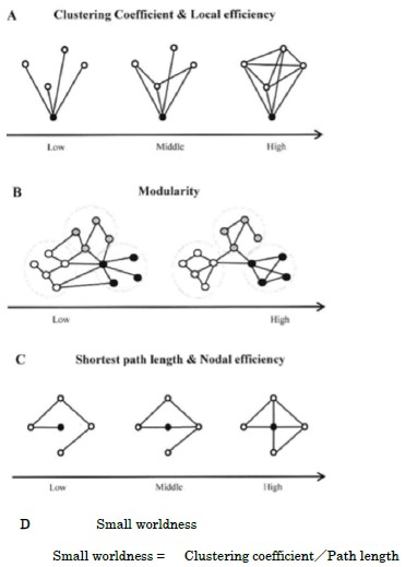 A: Clustering Coefficient & Local efficiency B:Modularity C:Shortest path length & Nodal efficiency D: Small worldness