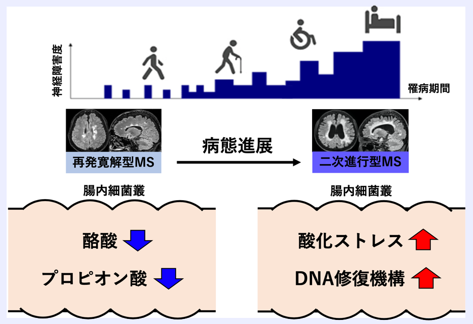 MSのその他の検査