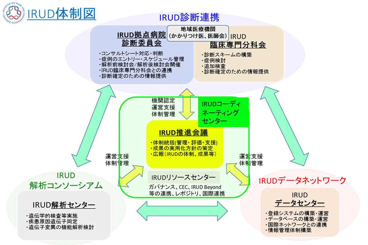 IRUD体制図