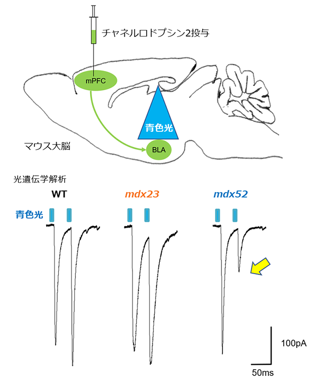 図2