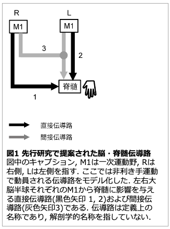 図１