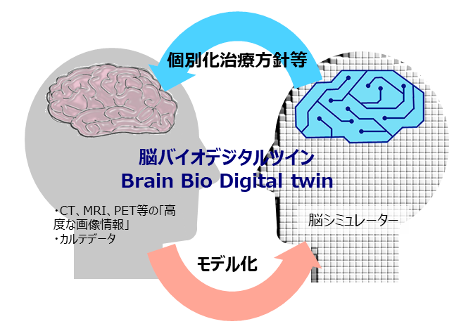 脳バイオデジタルツインのコンセプト図