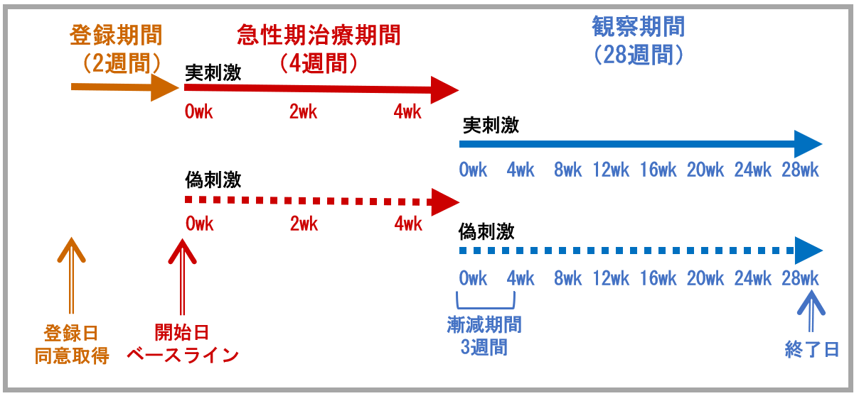 検査の流れの図