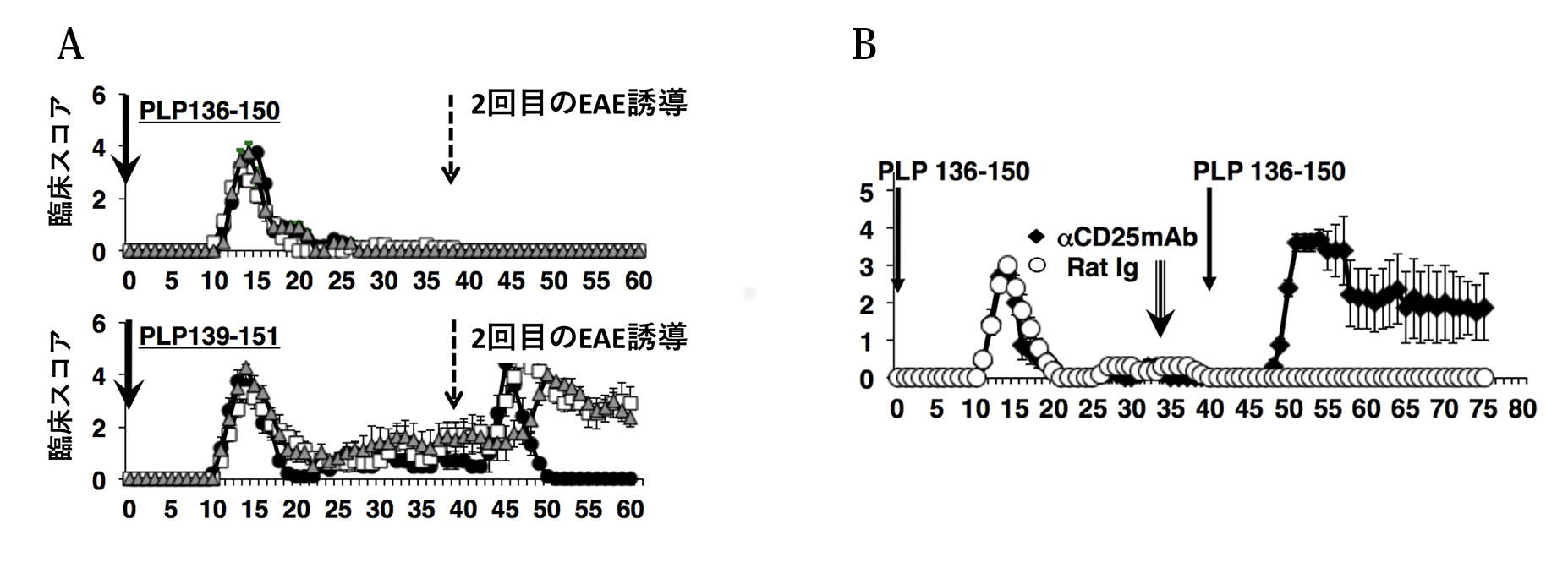 図3  PLP136-150誘導EAE ：制御性T細胞を除くと二度目のEAEが誘導できる