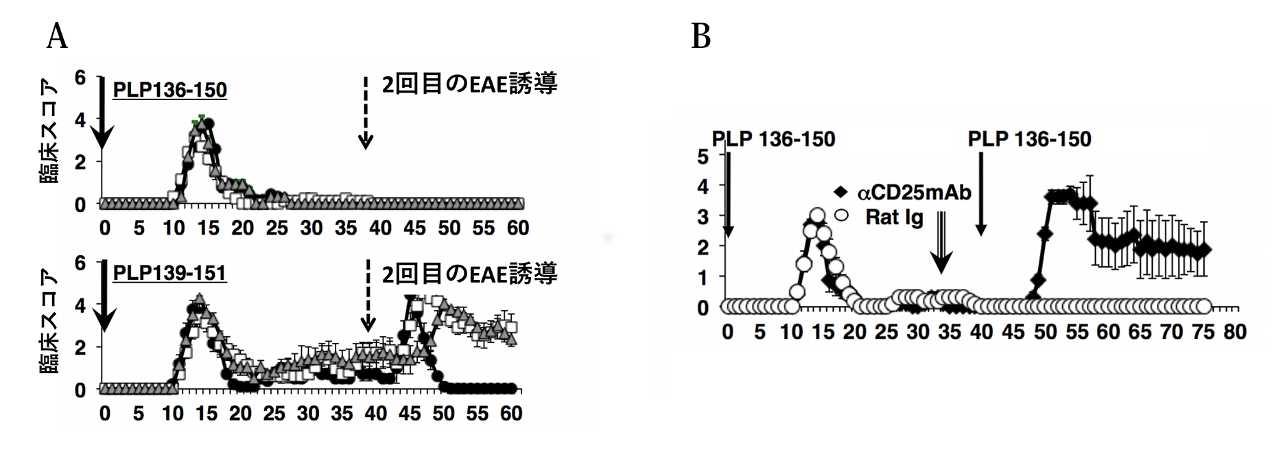 図3 PLP136-150誘導EAE :制御性T細胞を除くと二度目のEAEが誘導できる