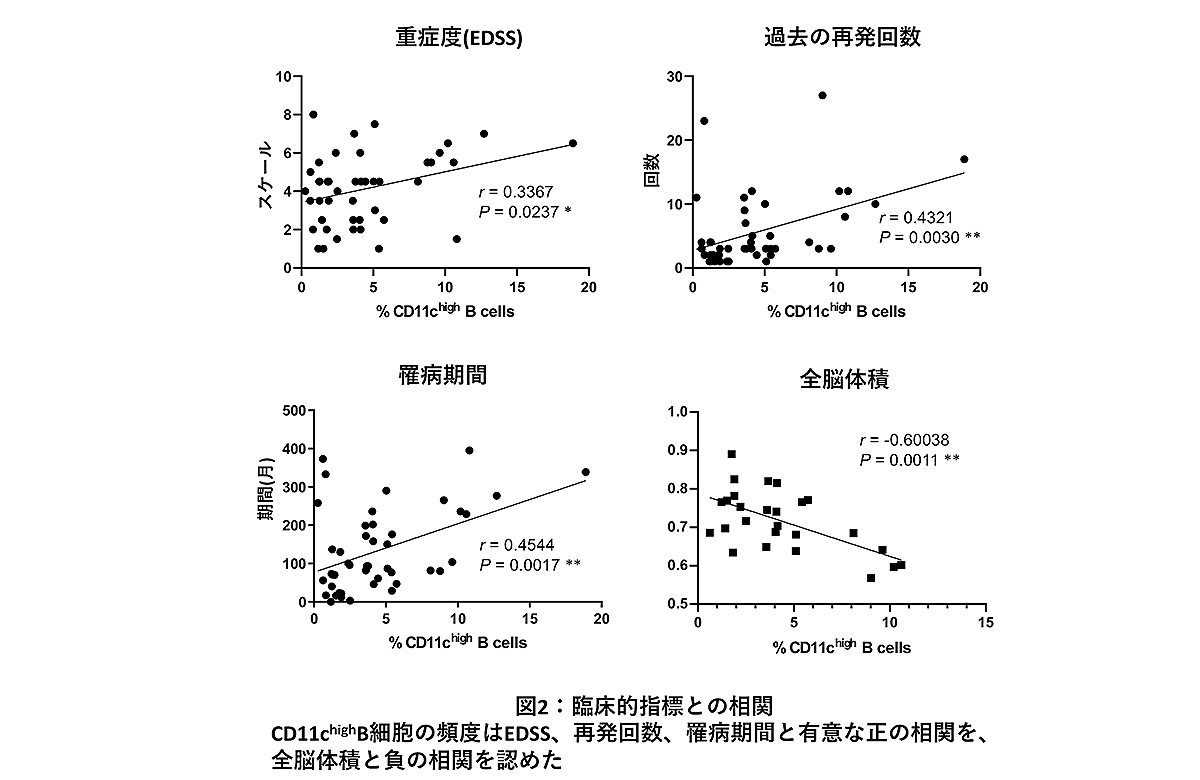 臨床的指標との相関のグラフ