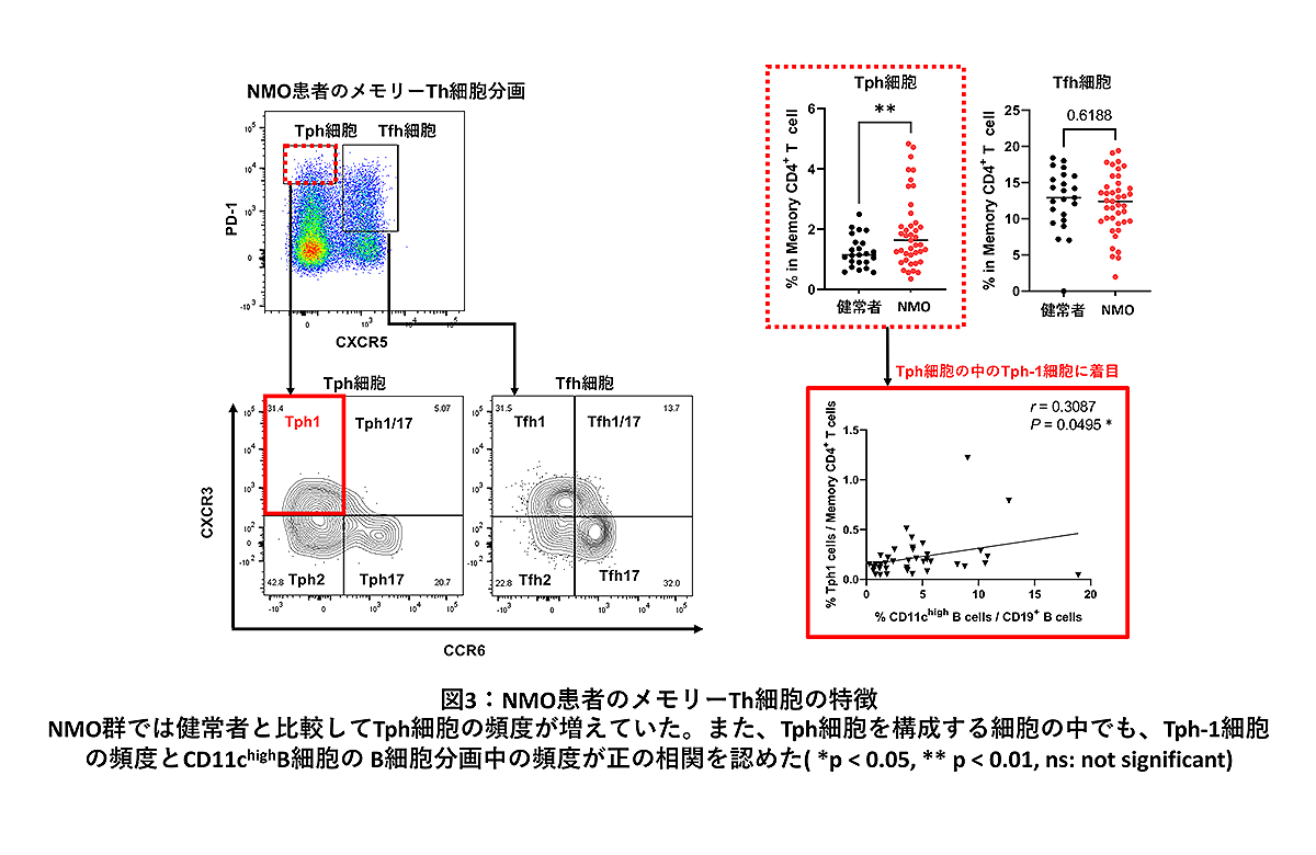 NMO患者のメモリーth細胞の特徴を示すグラフ