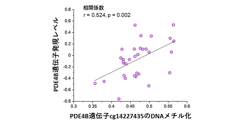 PDE4B遺伝子のDNAメチル化と発現レベルとの相関を示す散布図