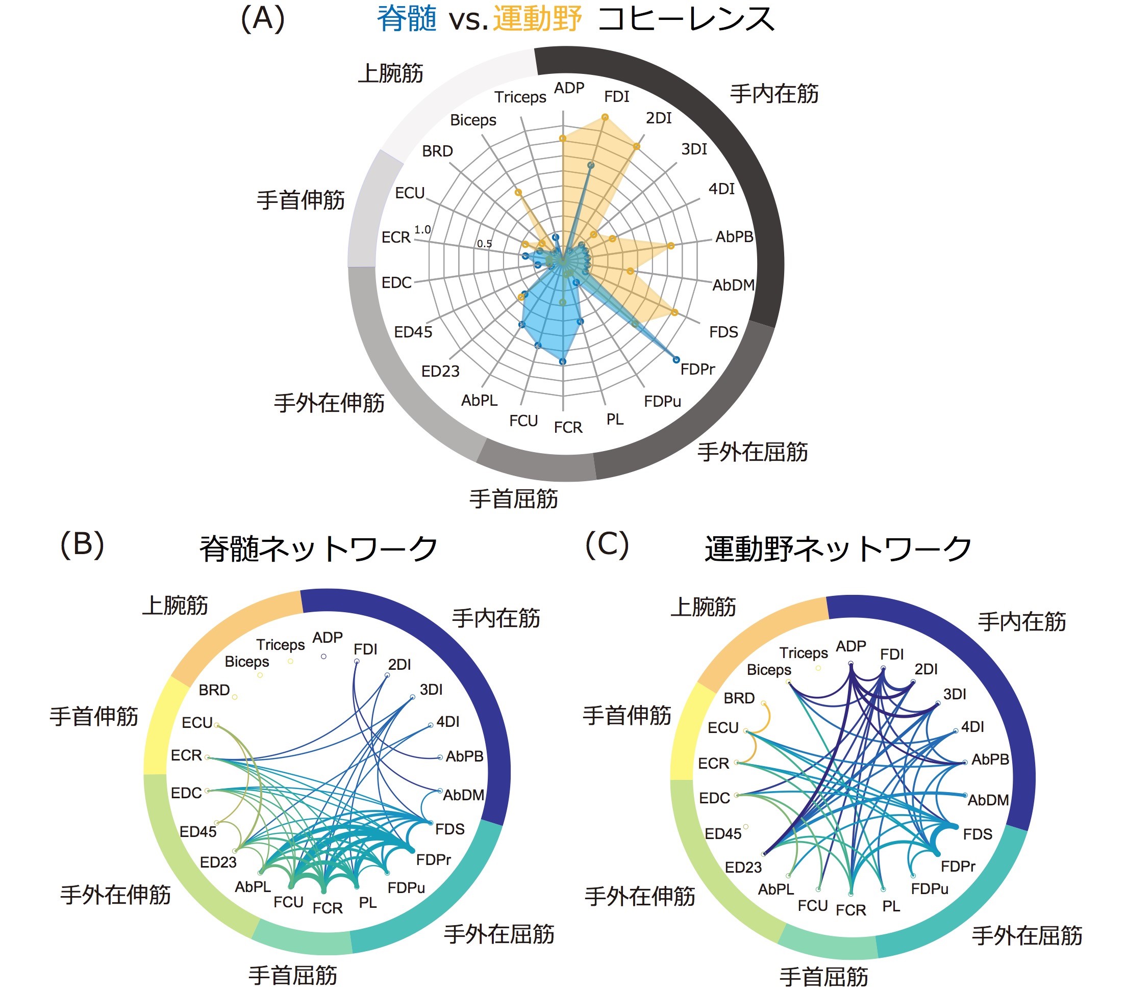 20200420関先生図２.jpg