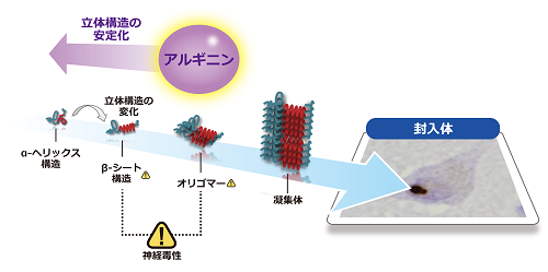 0525図１皆川先生.png