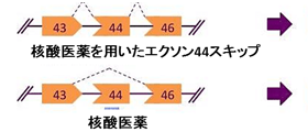 2023年8月7日プレスリリースのイメージ画像